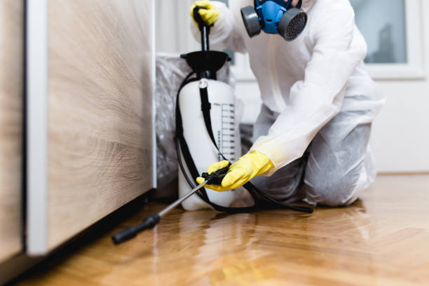 Best Exterminator Services  in Stonewood, WV