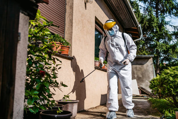 Best Pest Control Treatment  in Stonewood, WV