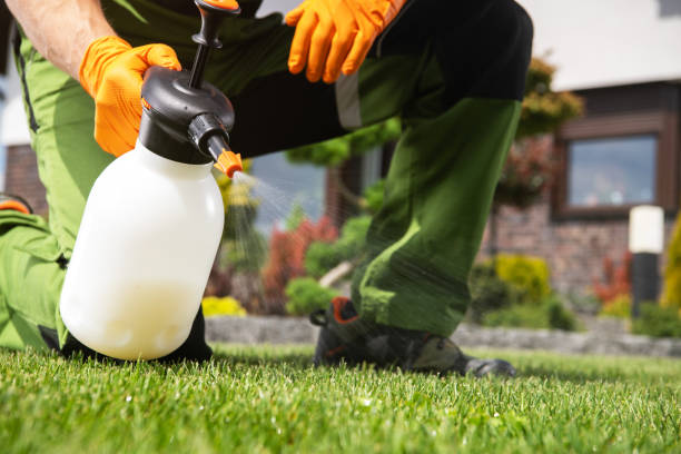 Best Wasp Removal Services  in Stonewood, WV