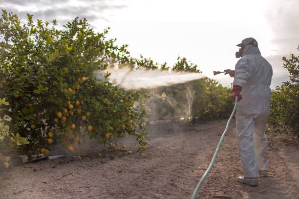 Best Wildlife Control Services  in Stonewood, WV