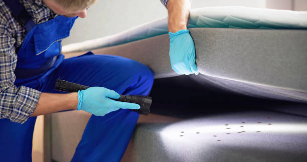 Best Pest Control Near Me  in Stonewood, WV