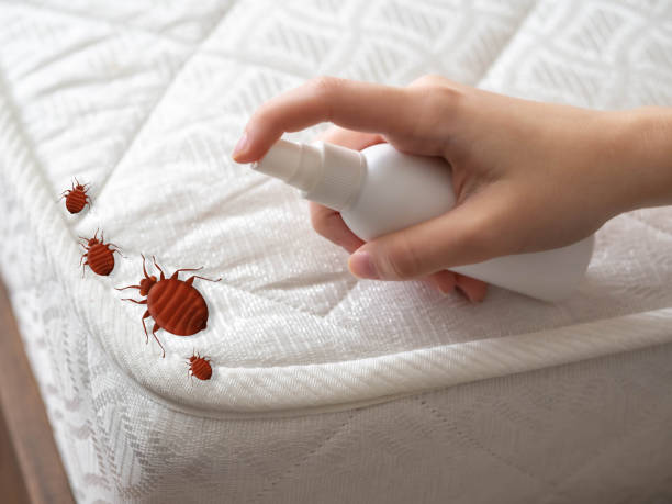 Best Best Pest Control Companies  in Stonewood, WV