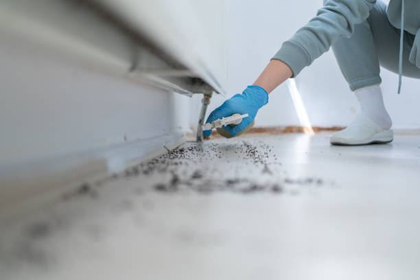 Best Pest Control for Homes  in Stonewood, WV