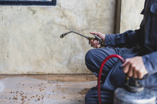 Best Best Pest Control Companies  in Stonewood, WV