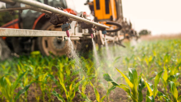 Best Commercial Pest Control Services  in Stonewood, WV